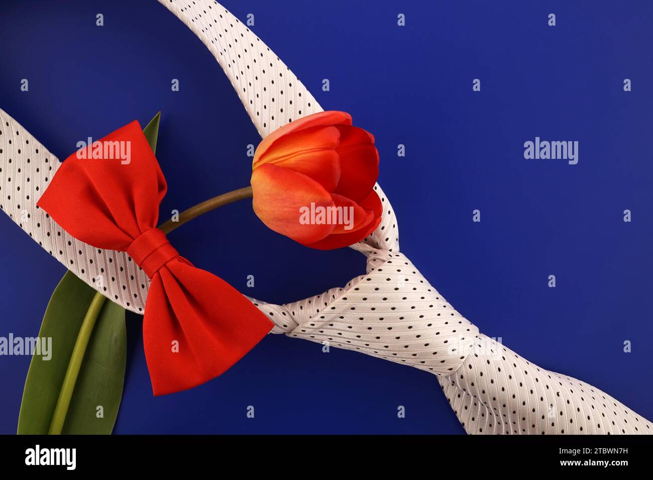 Cravatta da collo e colorata cravatta rossa con tulipano rosso su sfondo blu con spazio per la copia del tuo saluto in una vita still lay piatta Foto Stock