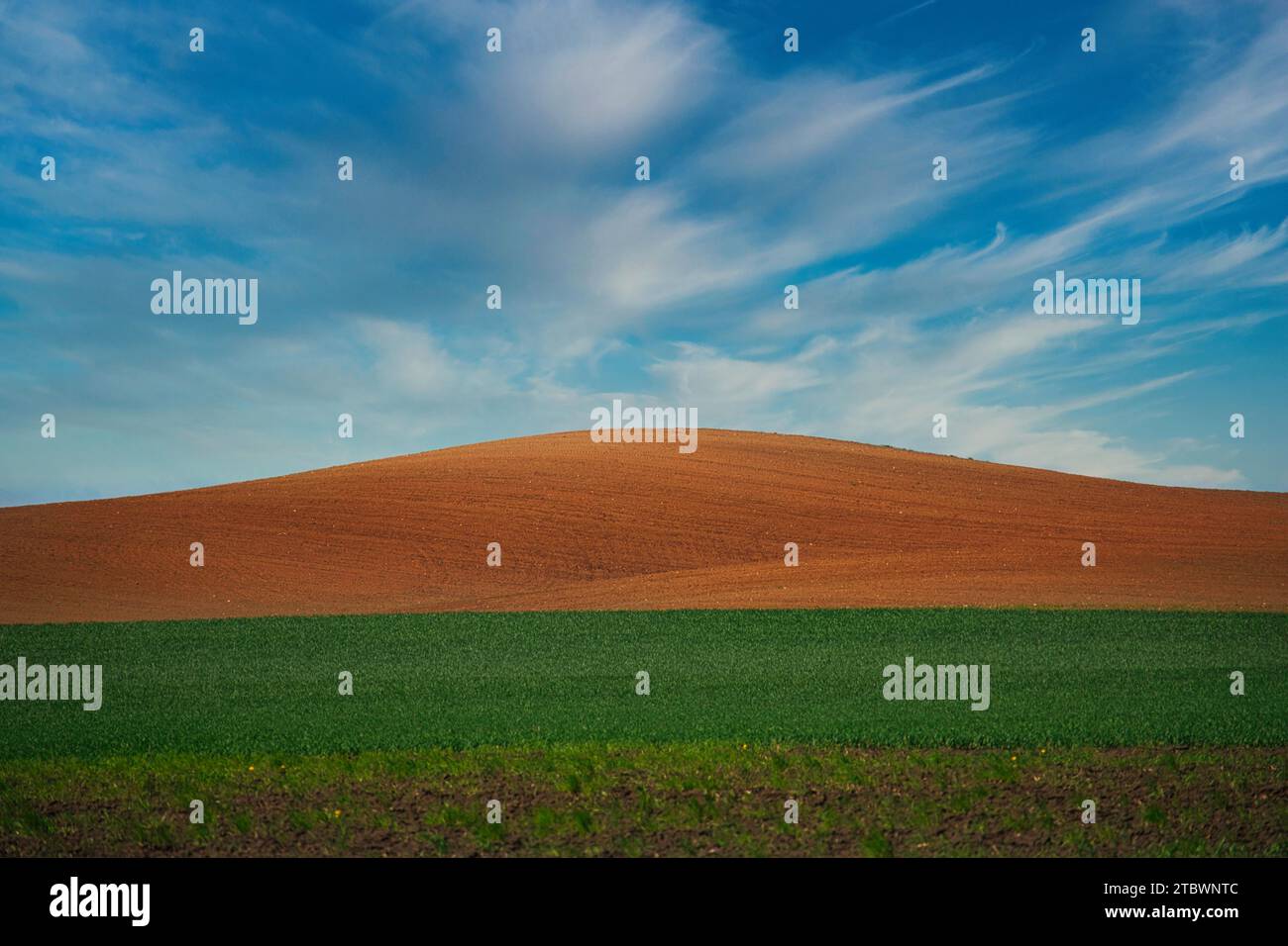 Paesaggio agricolo panoramico con colline ondulate arate e prato sotto un cielo blu con nuvole soffici Foto Stock