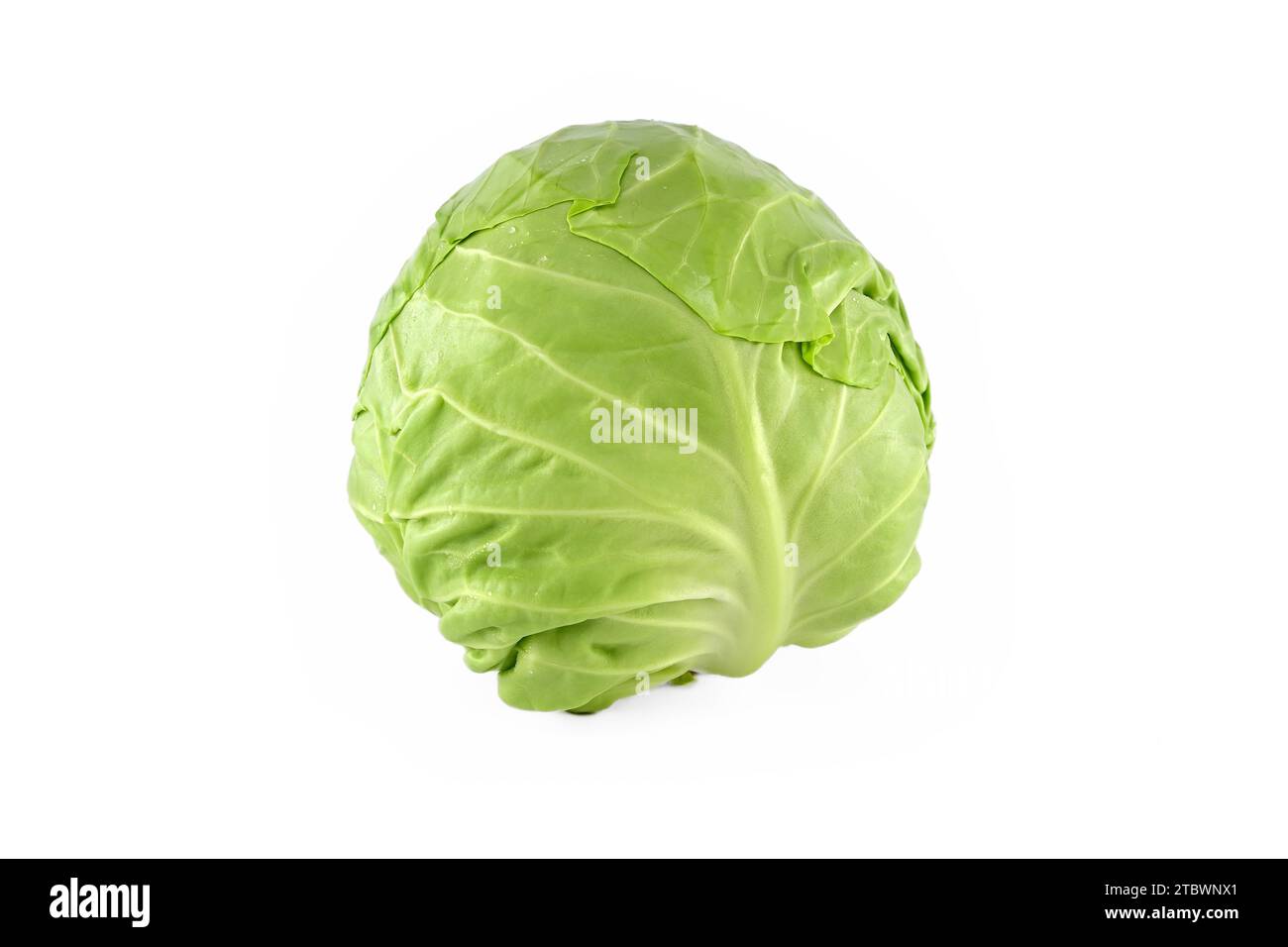 Testa di cavolo bianco fresco isolato su sfondo bianco Foto Stock
