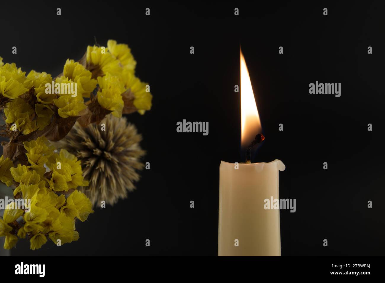 Primo piano di una fiamma di candela e fiori illuminati dal lume di candela nell'oscurità con spazio di copia libero Foto Stock