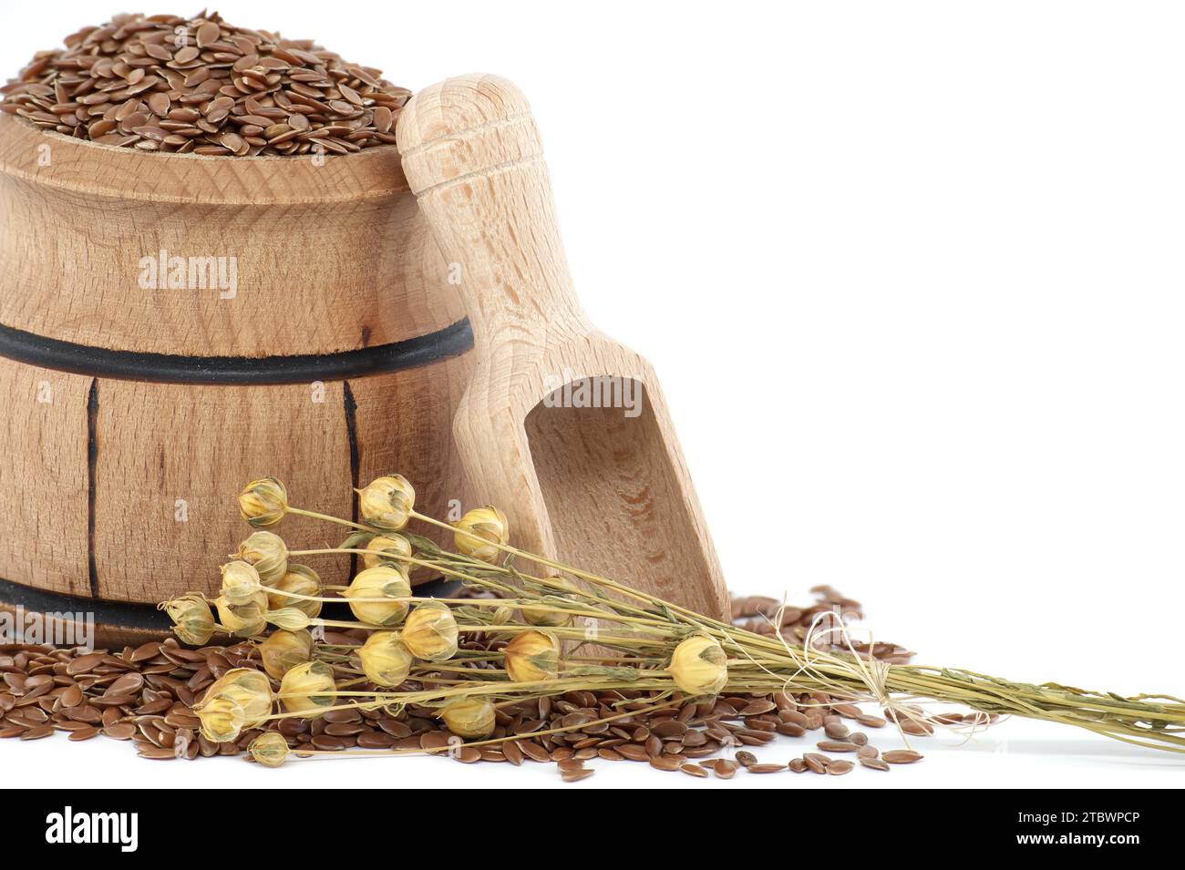 Semi di lino in barile di legno vicino a mazzo di piante di lino isolate su fondo bianco. Linum usitatissimum (lino comune) Foto Stock