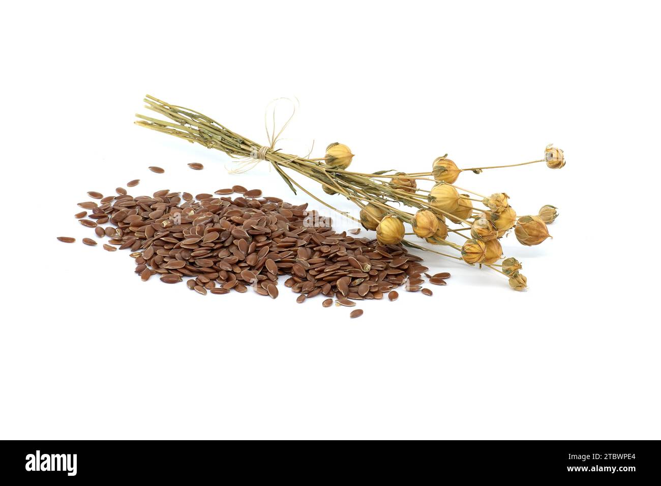 Un mucchio di semi di lino e un fascio di piante di lino isolate su sfondo bianco Foto Stock