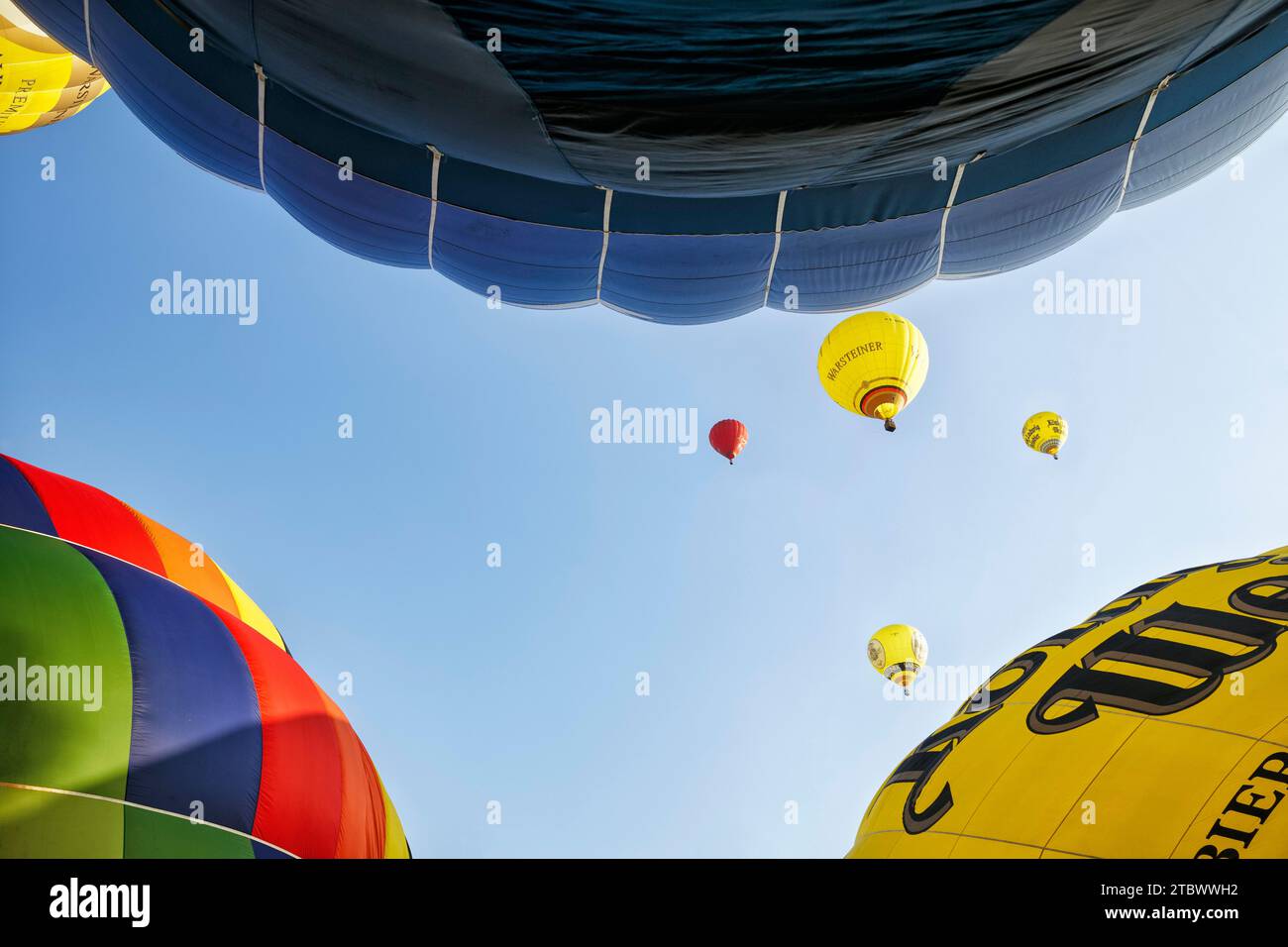 Diverse mongolfiere colorate si innalzano in aria, vista dal basso, lancio di massa, Hot Air Balloon Festival, 26th Warsteiner International Foto Stock