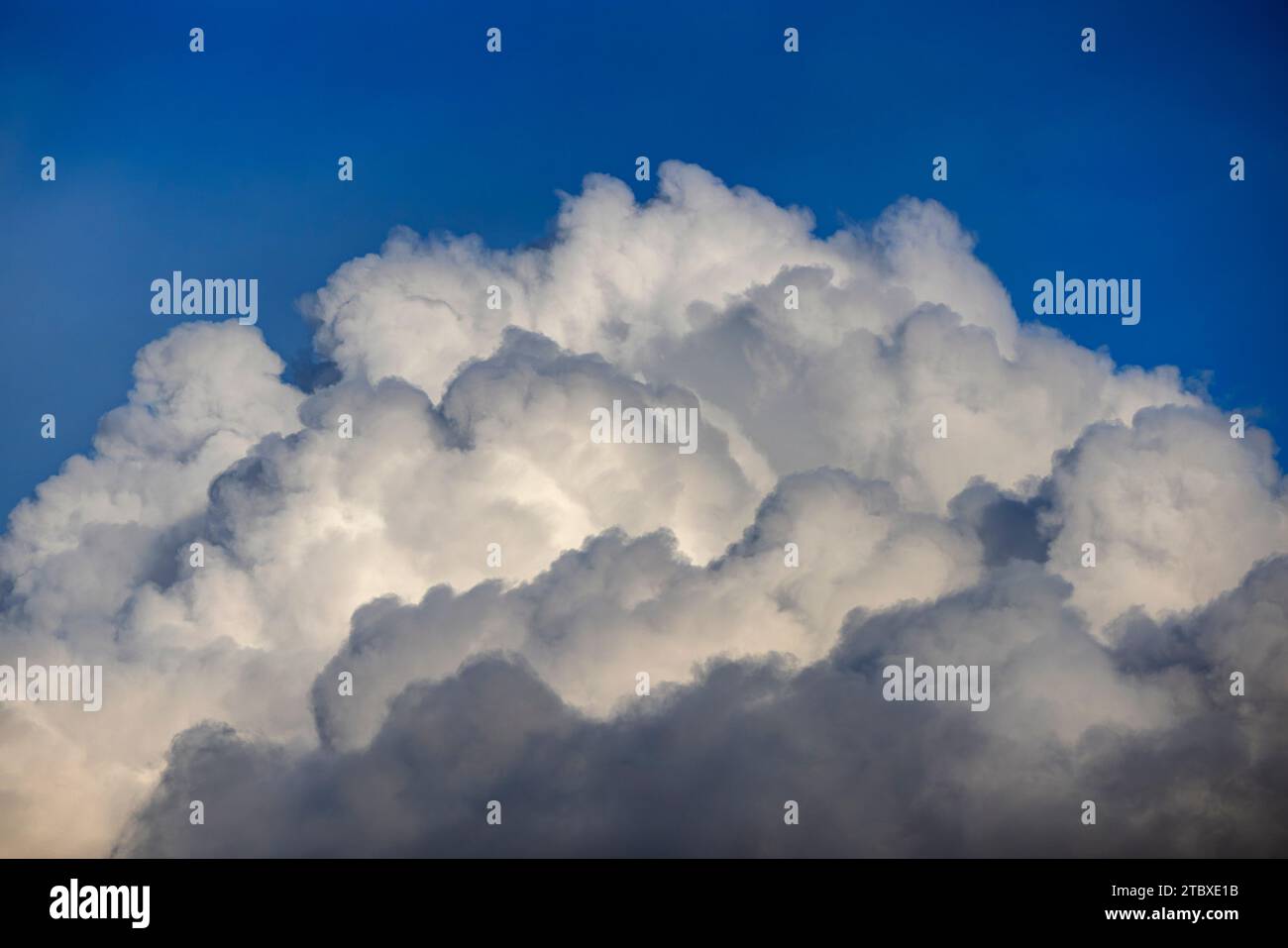 Soffice nuvole di cumulus gonfio contro un cielo blu Foto Stock