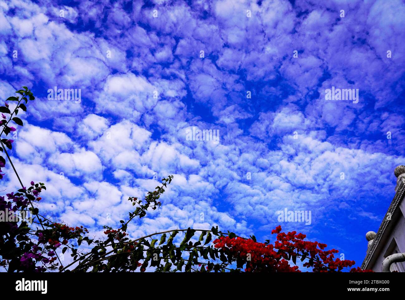 BLUE E REDISHYELLOW SKY IN TUTTO IL MONDO Foto Stock