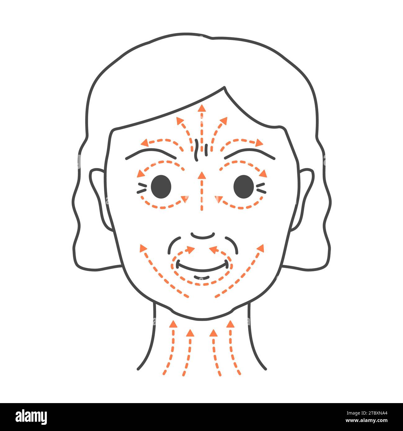 Massaggio facciale, illustrazione concettuale. Foto Stock