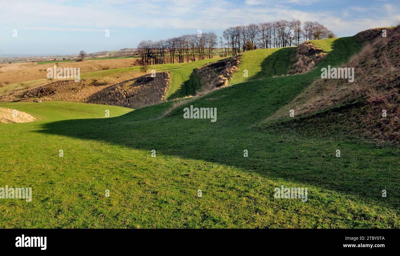 Strip Lynchets sulla collina vicino a Bishopstone nel North Wiltshire. Foto Stock