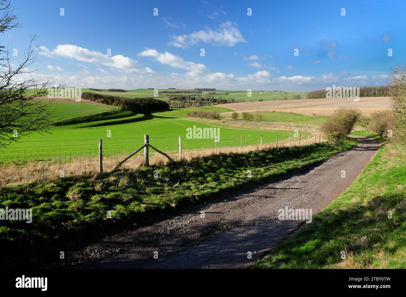 Una strada secondaria con gesso sul Wiltshire scende sopra Berwick St James, guardando verso strip Lynchets sul lato sinistro della collina. Foto Stock