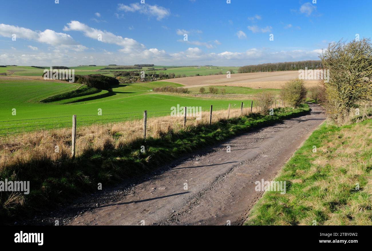 Una strada secondaria con gesso sul Wiltshire scende sopra Berwick St James, guardando verso strip Lynchets sul lato sinistro della collina. Foto Stock