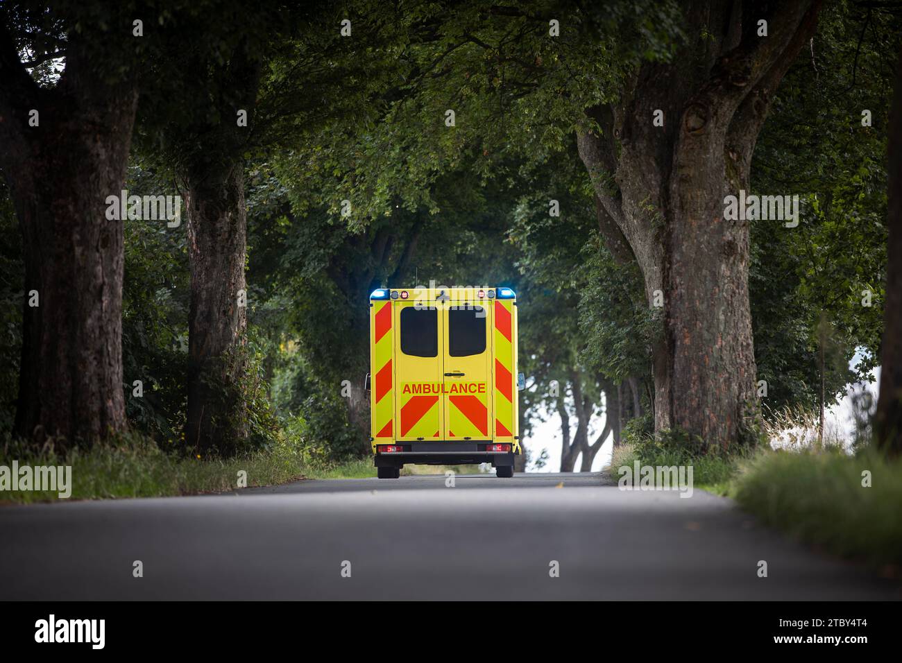 Auto di ambulanza gialla del servizio medico di emergenza sulla strada di campagna. Temi salvataggio, urgenza e assistenza sanitaria. Foto Stock
