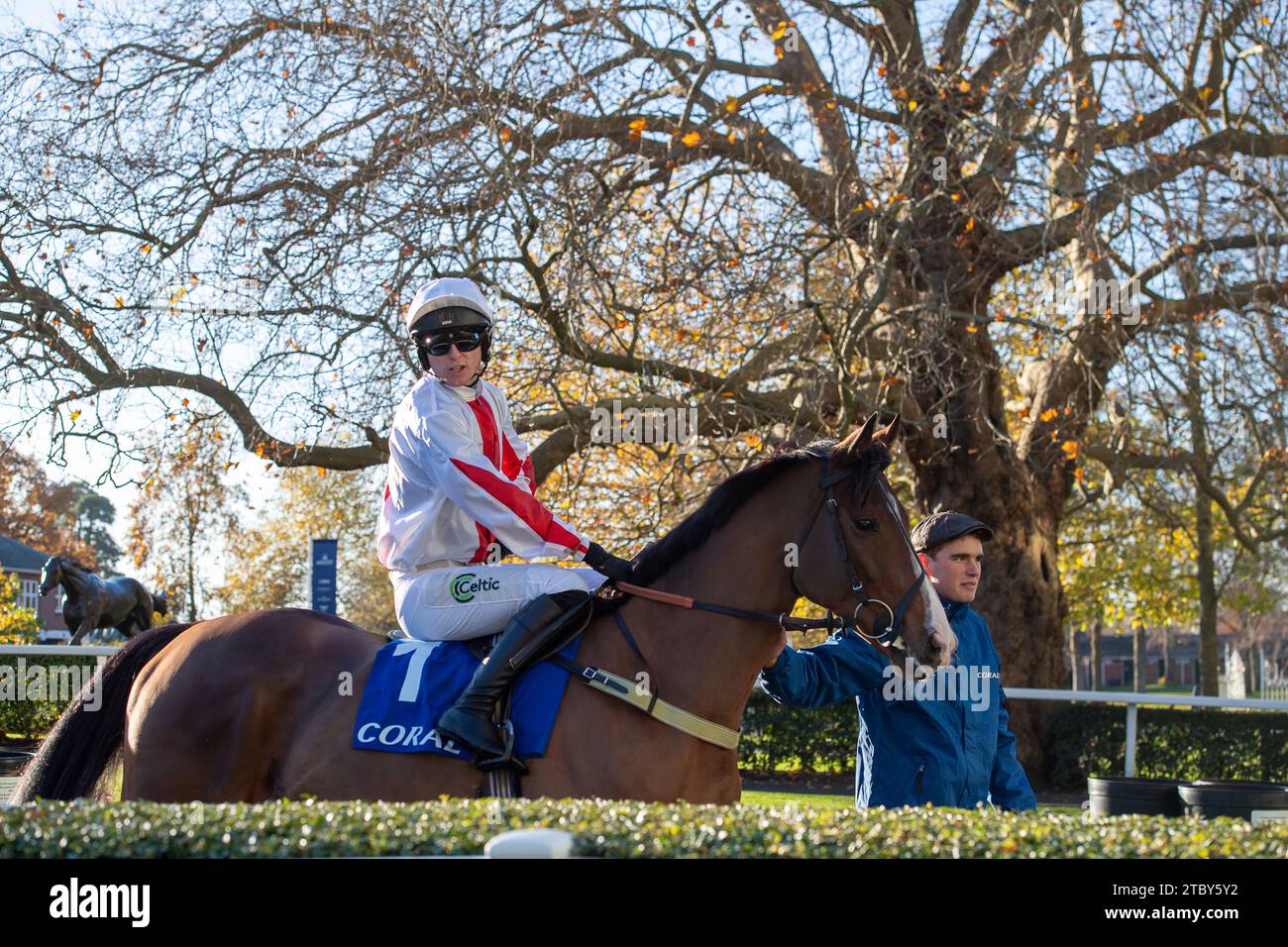 Ascot, Regno Unito. 25 novembre 2023. Jockey Niall Houlihan si dirige all'anello di parata a cavallo Goshen per la Coral hurdle Race durante il meeting del sabato di novembre all'ippodromo di Ascot. Proprietario Steven Packham. Allenatore Gary Moore, Horsham. Allevatore Christophe Toulorge. Sponsor K M Elite Products Ltd Credito: Maureen McLean/Alamy Foto Stock