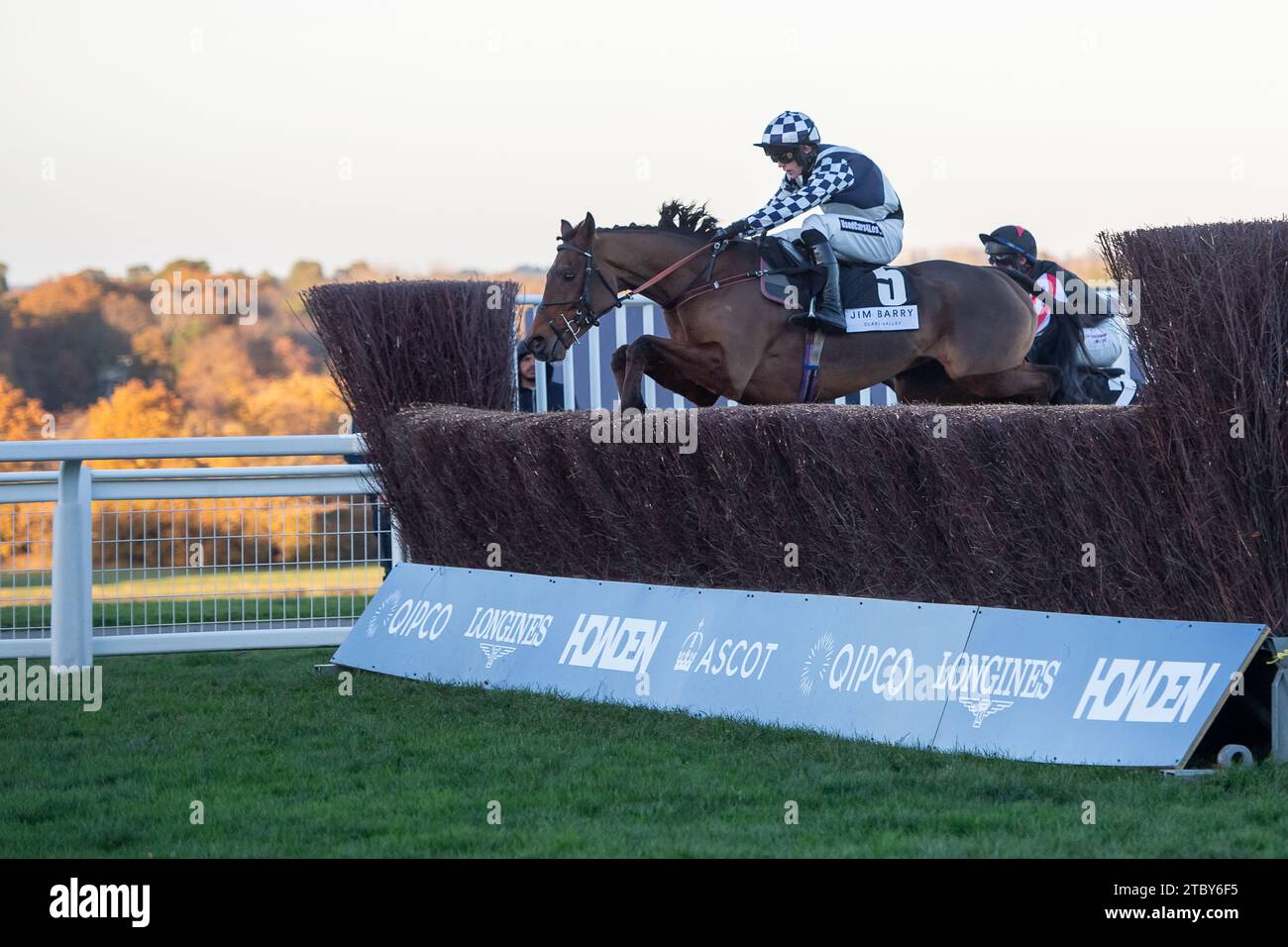 Ascot, Regno Unito. 25 novembre 2023. Horse Corrigeen Rock, guidato dal fantino Patrick Wadge, fa un salto nel Jim Barry Wines Hurst Park handicap Steeple Chase all'ippodromo di Ascot durante il November Racing Saturday Meeting. Proprietario della Caledonian Racing Society. Addestratore Lucinda Russell, Kinross. Allevatore J J Howlett. Sponsor Ian McLeod & Co Ltd Credito: Maureen McLean/Alamy Foto Stock