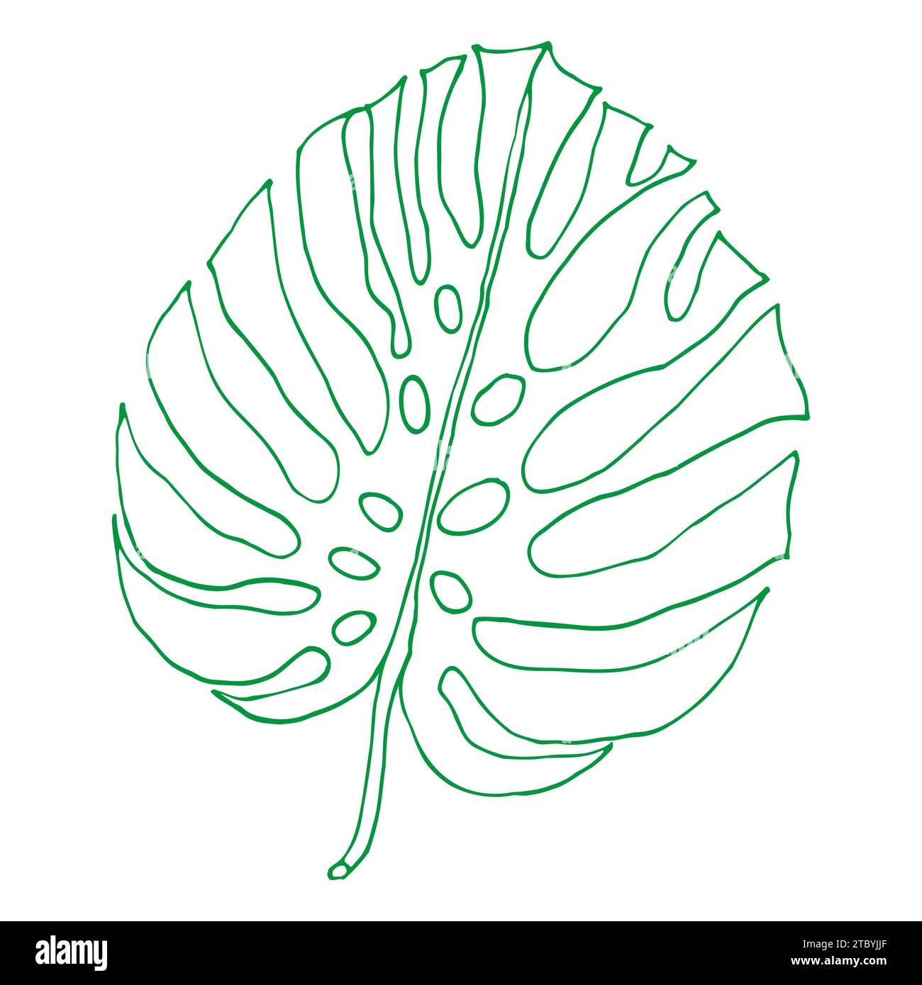 Monstera delinea foglie tropicali, elemento di design vegetale foglie di Monstera, pianta della giungla. Leaf monstera line art per colorare libri, logo o album d Illustrazione Vettoriale