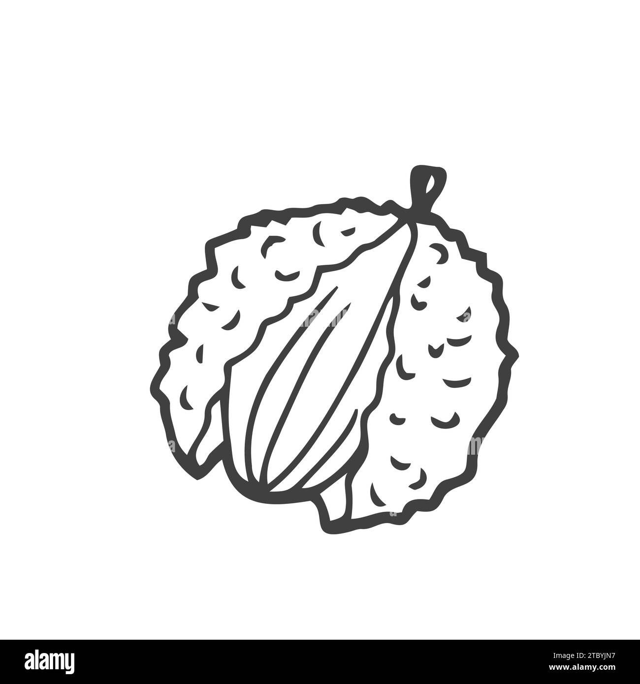 Grafica Lychee Fruit illustrazione di uno schizzo isolato in bianco e nero Illustrazione Vettoriale