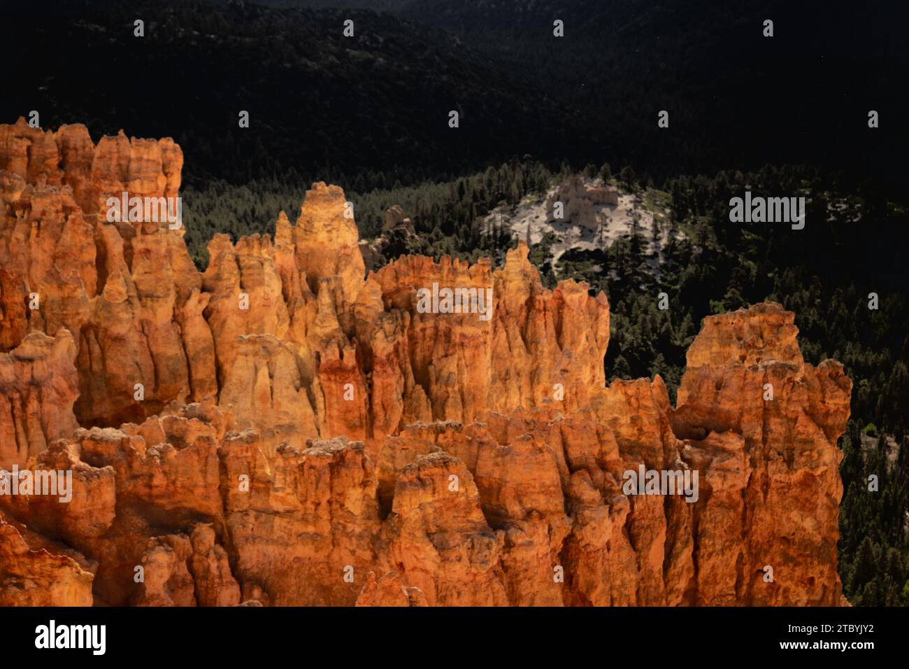 Hoodoos sul Rim Glow Orange con il Under the Rim Trail in lontananza nel Byrce Canyon Foto Stock