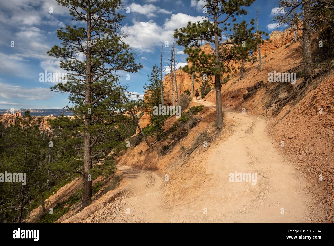 Cavallo che scende nell'Hoodoos del Bryce Canyon Foto Stock