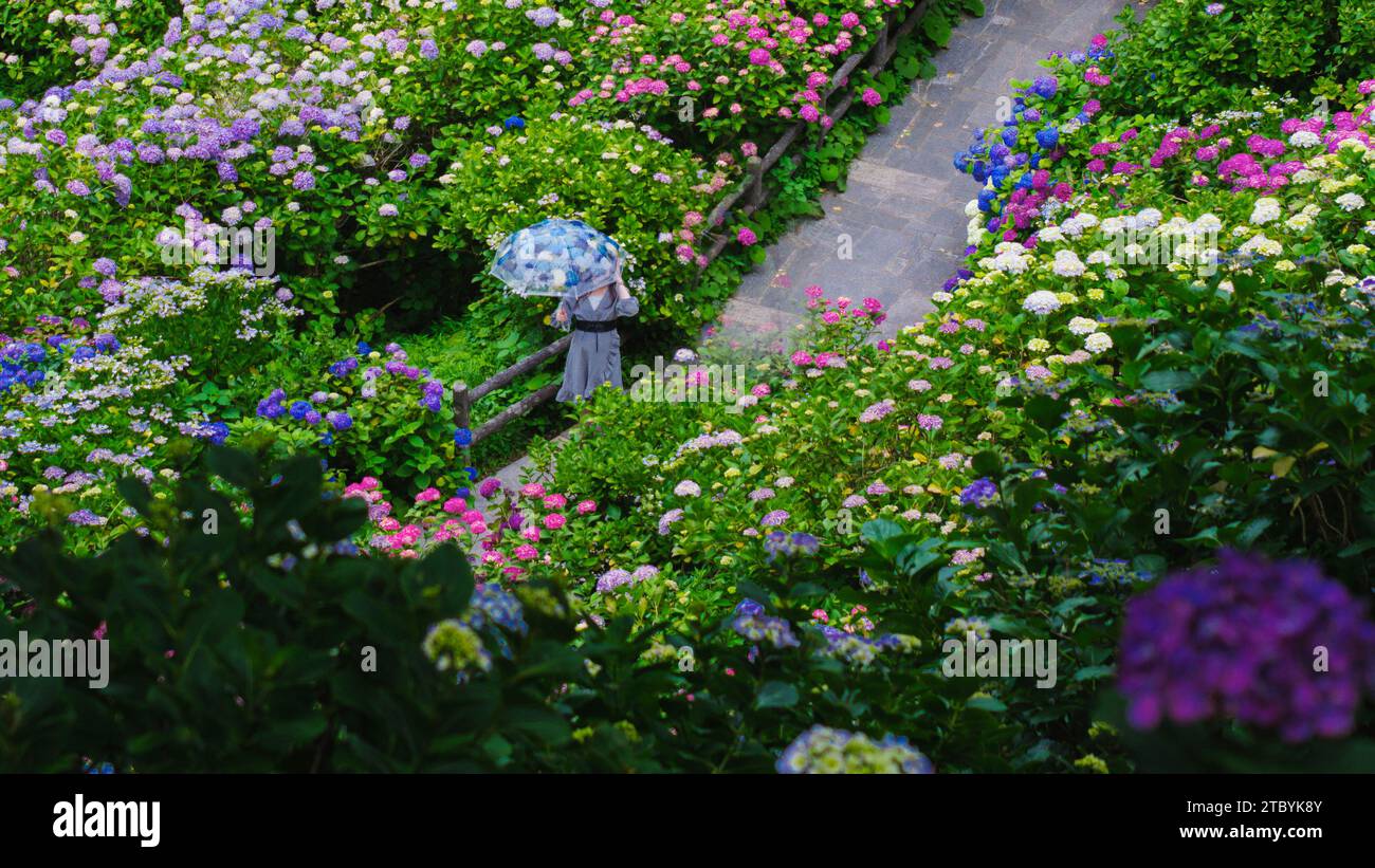 Lo Shimoda Park dispone di numerose aree ben pavimentate e scale progettate per ospitare visitatori con diversi livelli di fitness. Durante la mia visita, codifico Foto Stock