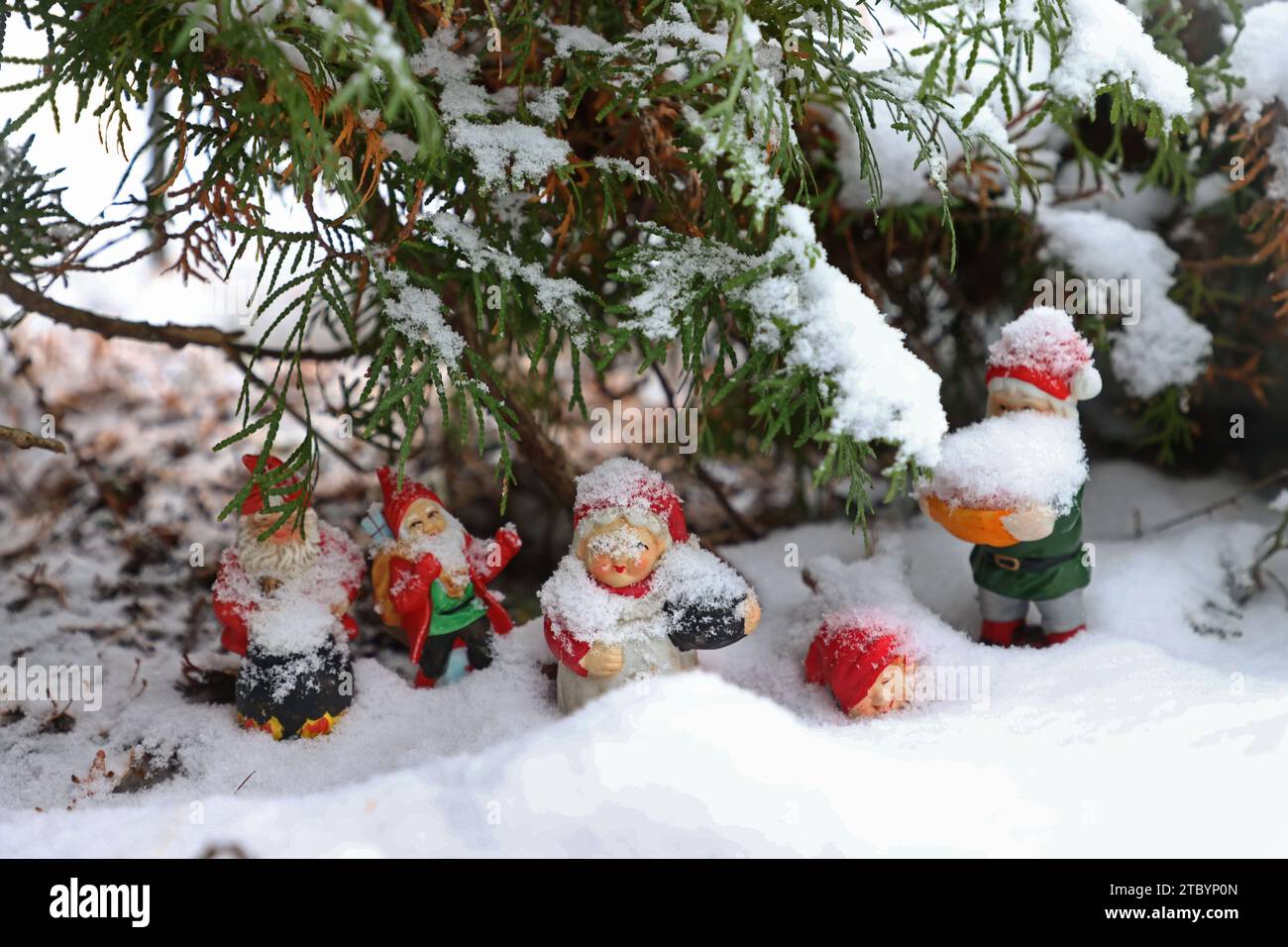 Uppsala, Svezia. 9 dicembre 2023. Segni e simboli, decorazioni natalizie in una foresta, di sabato. Credito: Jeppe Gustafsson/Alamy Live News Foto Stock