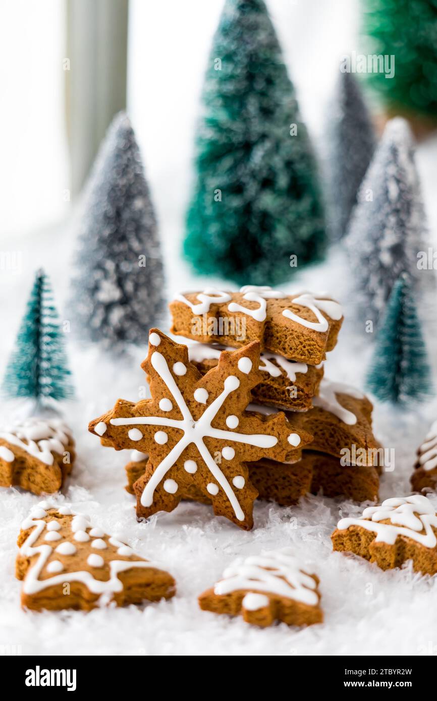 Una disposizione di vari biscotti al pan di zenzero circondati da alberi e neve. Foto Stock