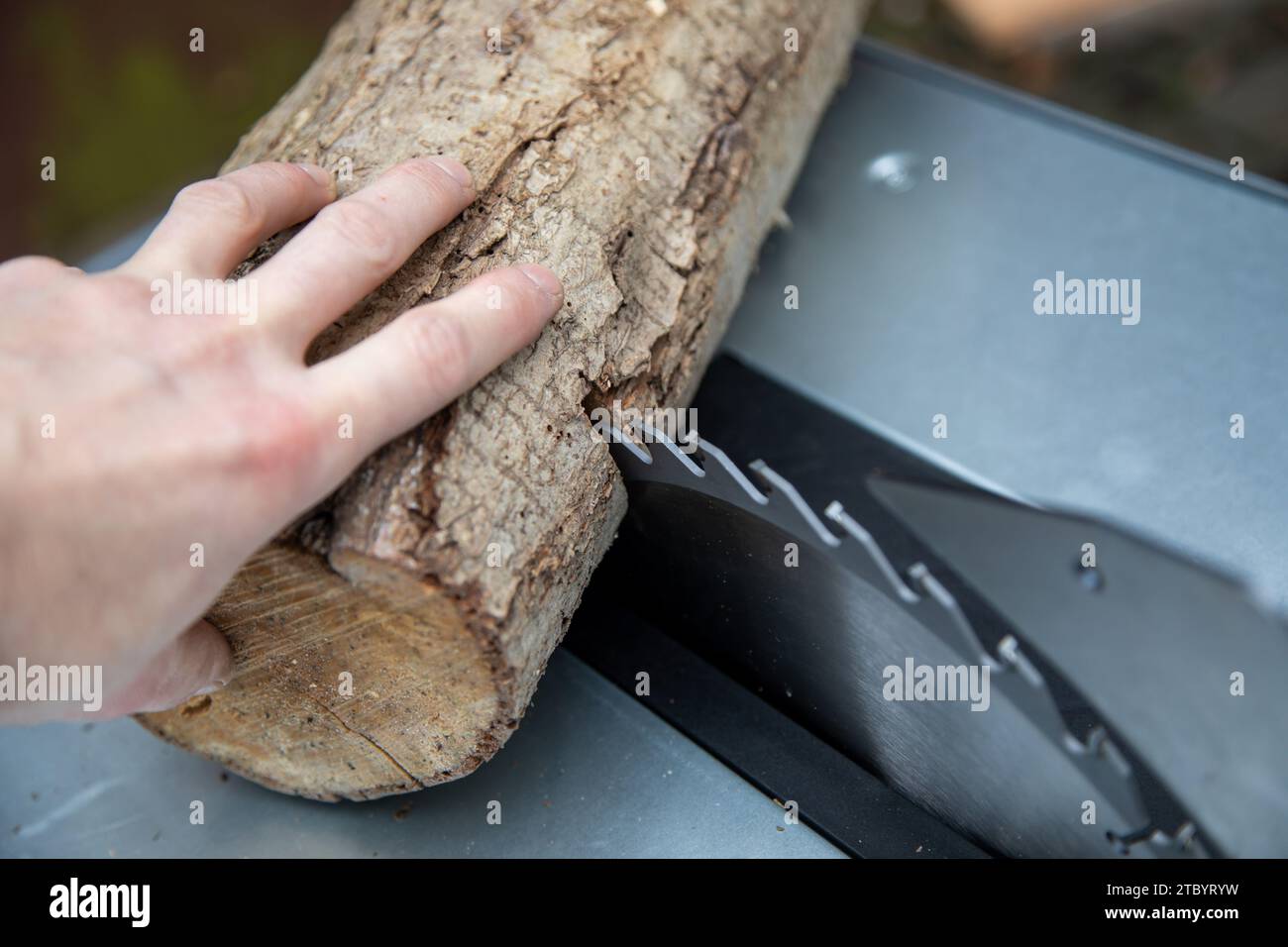 Holzstamm mit einer Kreissäge in zwei Teile sägen Foto Stock