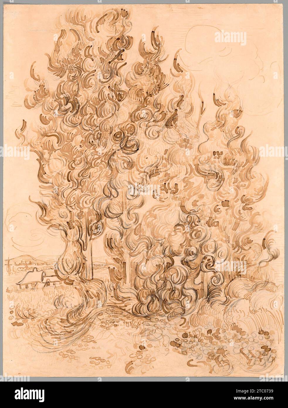 Cipressi di Vincent Van Gogh 1889 Foto Stock