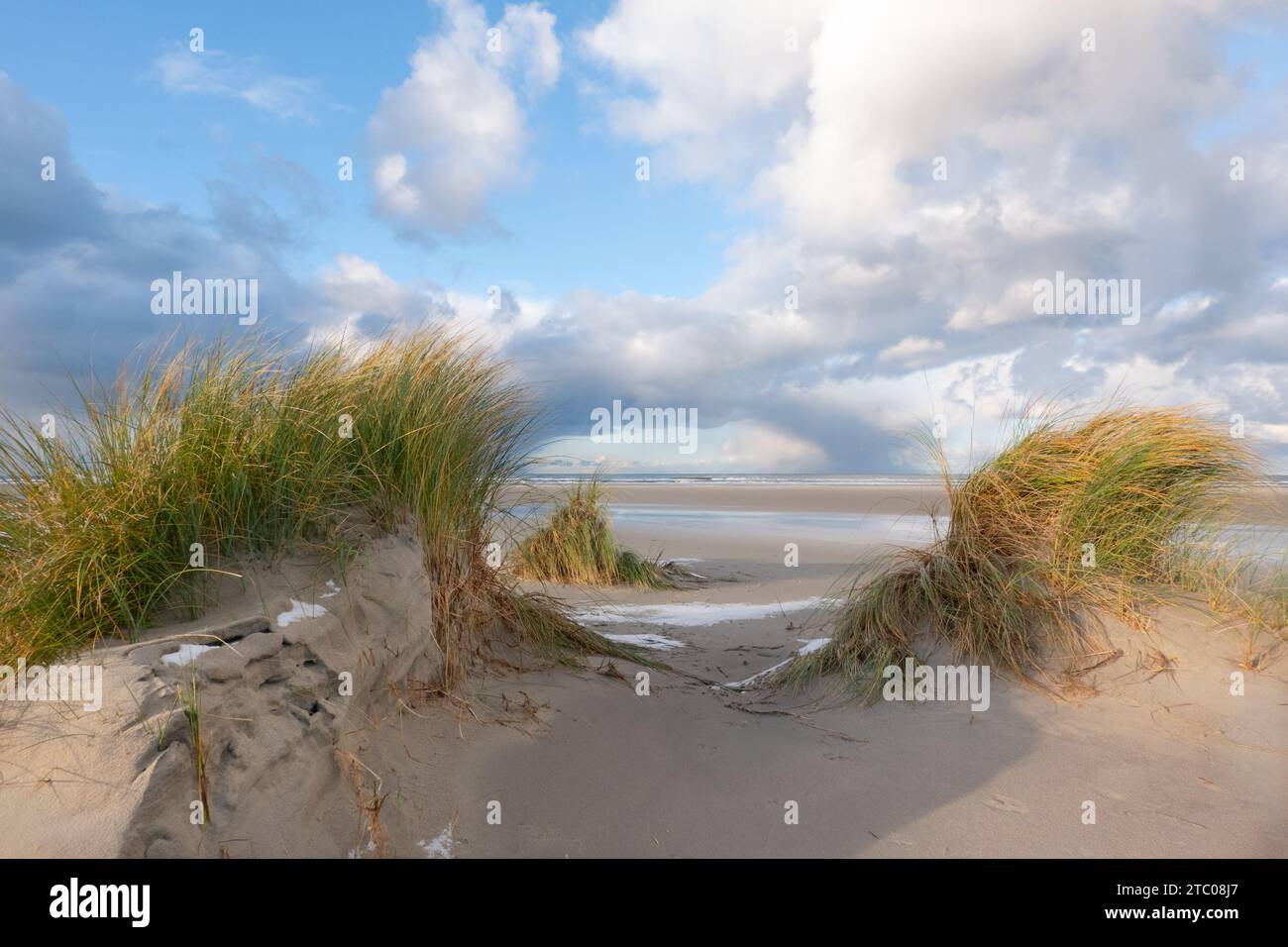 Vista sulla vasta spiaggia e sul mare tra due dune coltivate con erba di Marram Foto Stock Vista sulla vasta spiaggia e sul mare tra due dune coltivate con erba di Marram Foto Stock