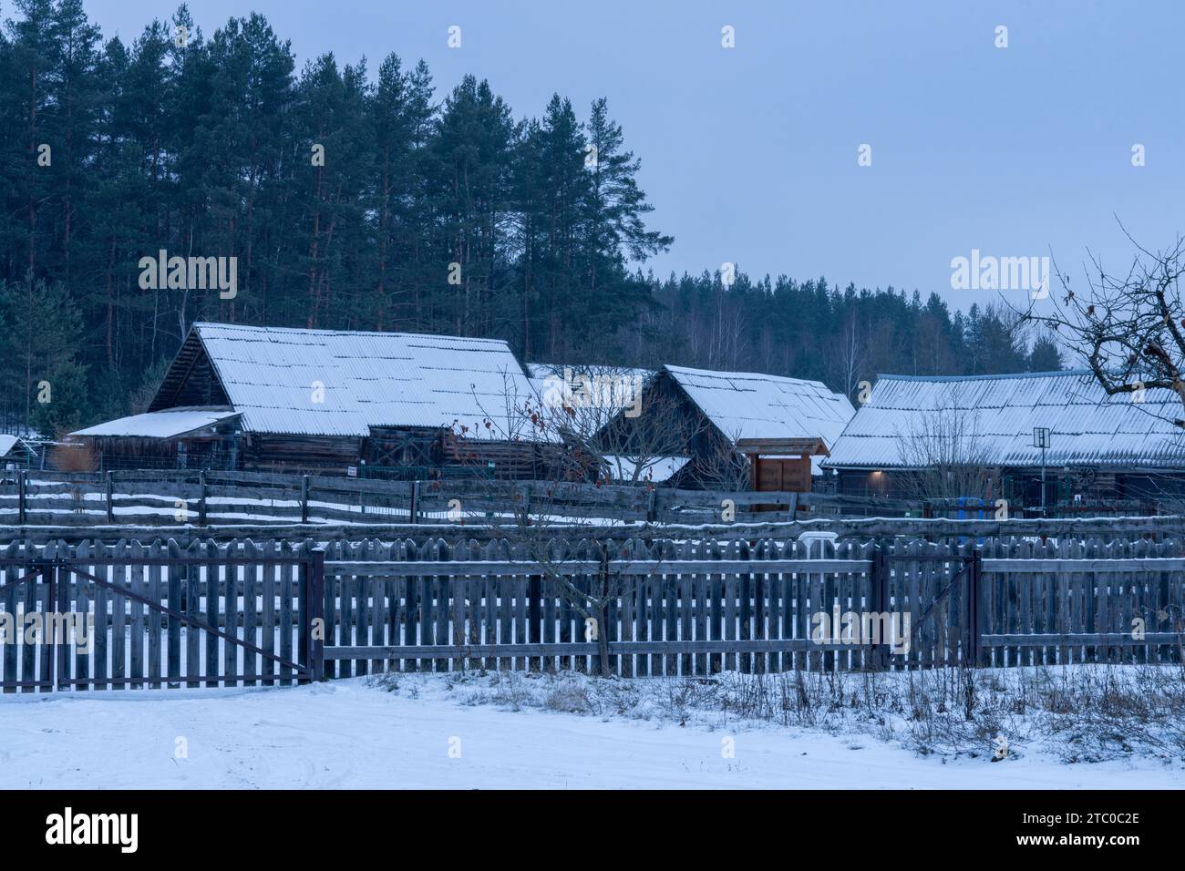 Vista sulla campagna invernale della neve bianca nel villaggio lituano Foto Stock