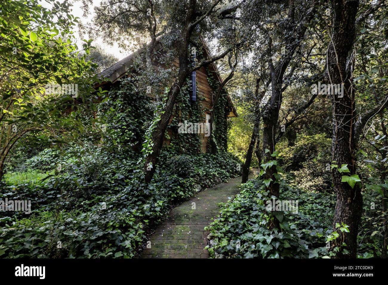 Cabina di legno con finestre francesi alla fine di una passeggiata in mattoni Foto Stock