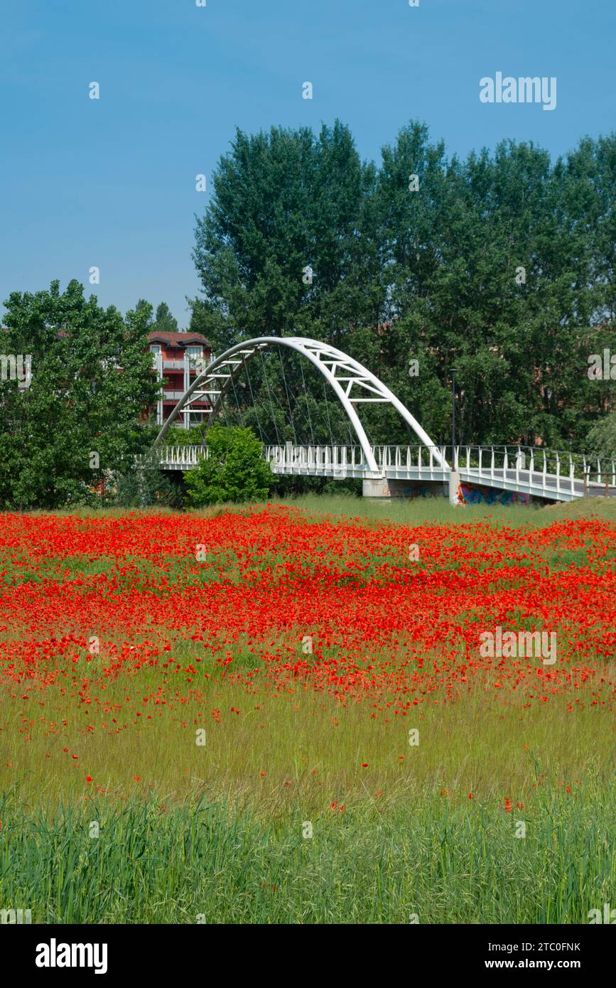 Italia, Lombardia, crema, Ponte Ciclopedonabile Giorgio Bettinelli, Ponte di Wlaking Foto Stock