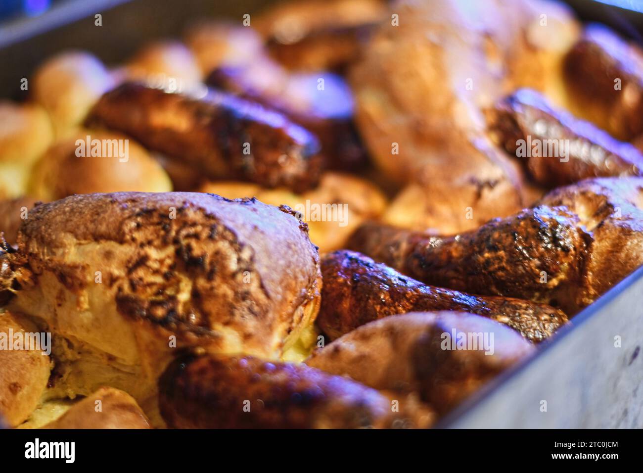 Toad nel foro Foto Stock