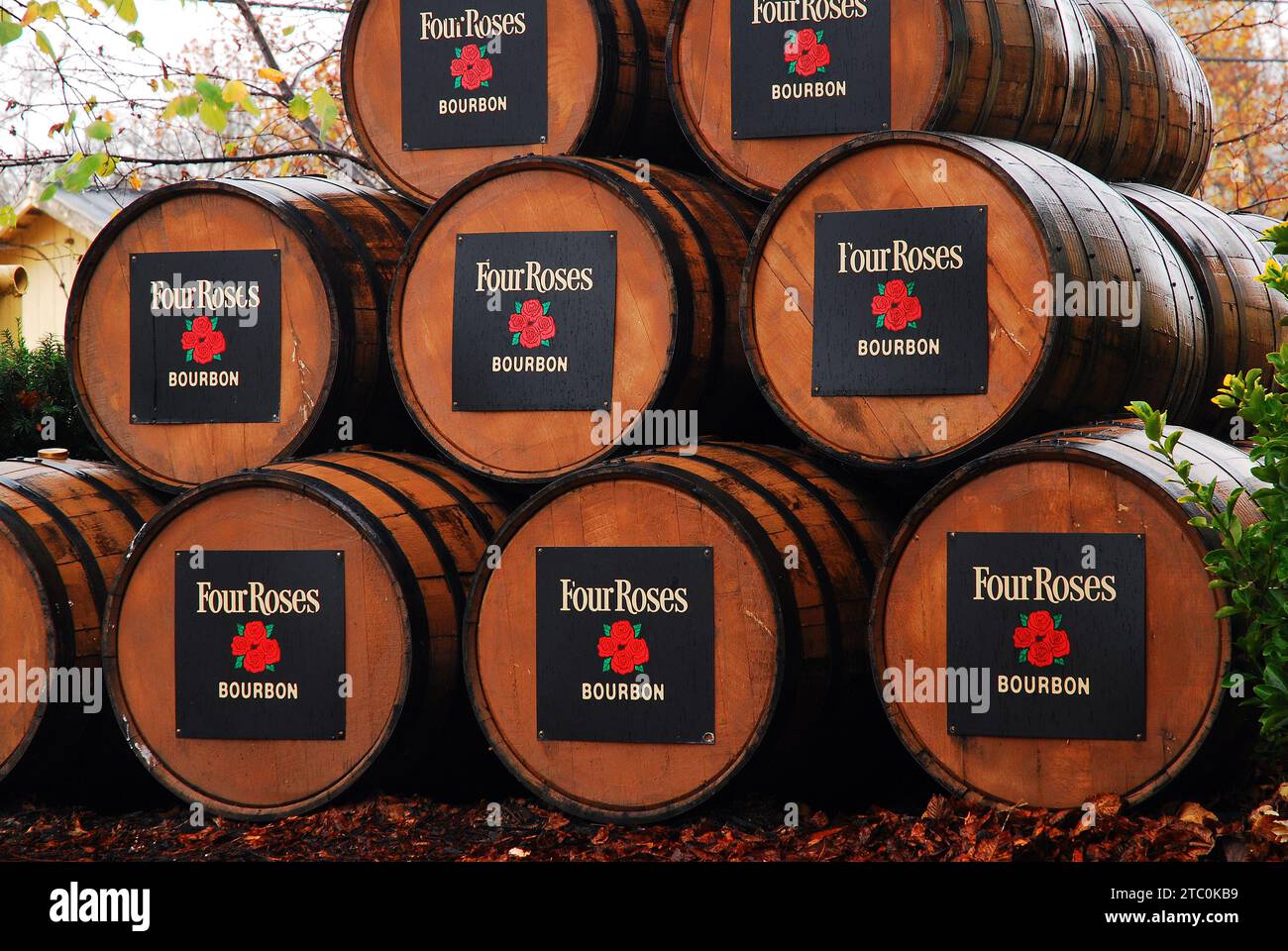 Botti di rovere di bourbon si trovano all'esterno della distilleria Four Roses nel Kentucky Foto Stock