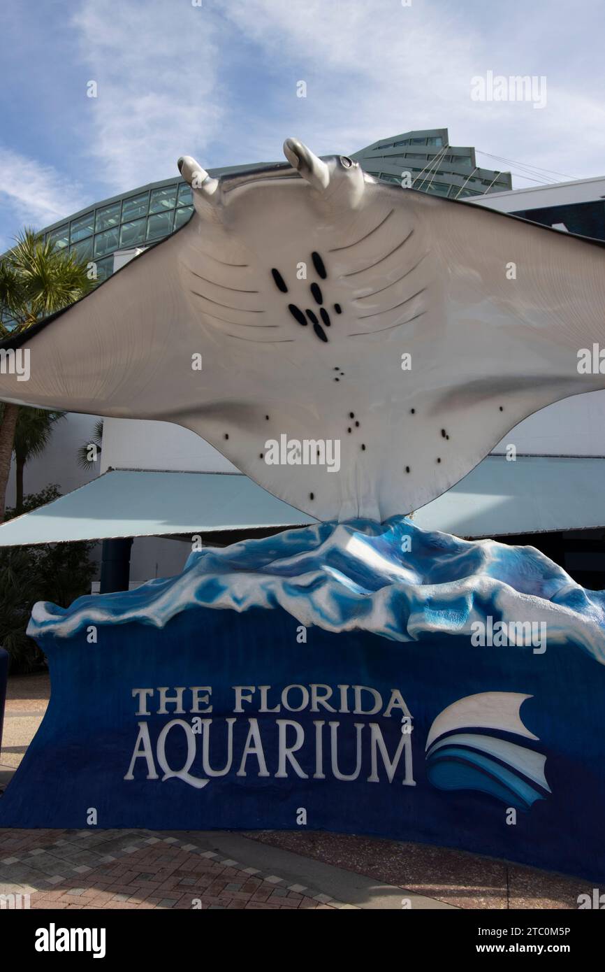Manta Ray all'ingresso del Florida Aquarium di Tampa, Florida - 5 dicembre 2023 Foto Stock