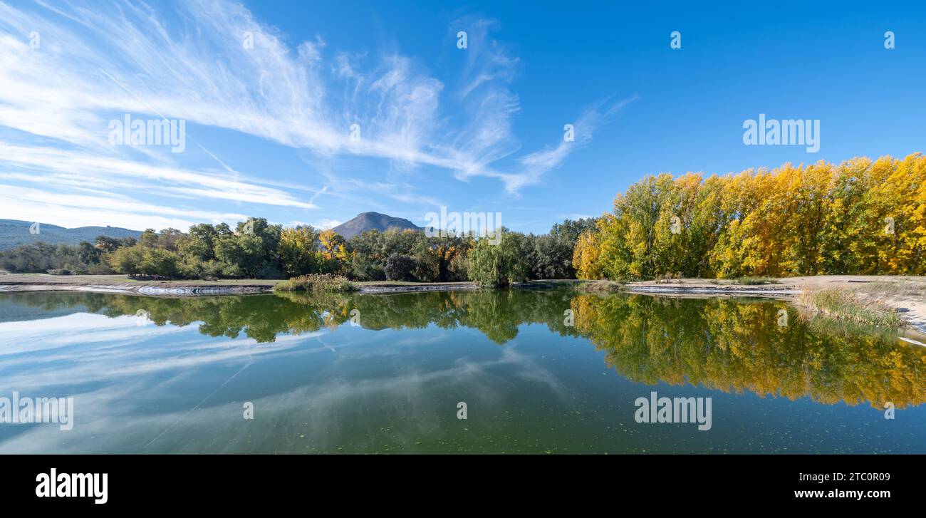 Alberi autunnali e loro riflessi in un lago in una mattinata soleggiata in Andalusia (Spagna) Foto Stock