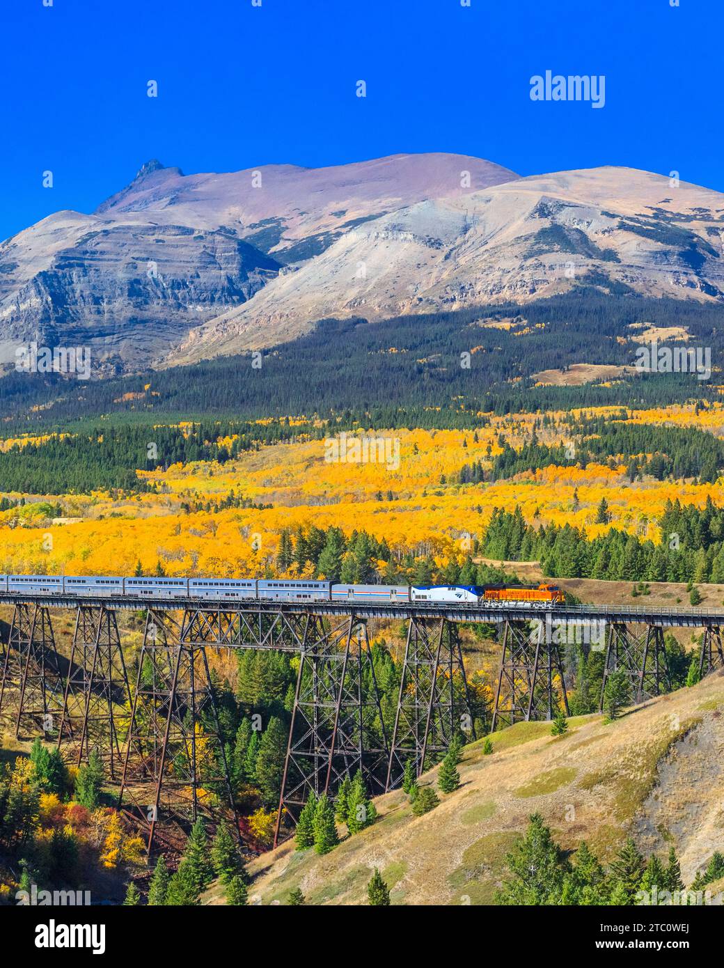 treno passeggeri che attraversa un trespolo in autunno sotto le cime del parco nazionale del ghiacciaio vicino al parco del ghiacciaio orientale, montana Foto Stock