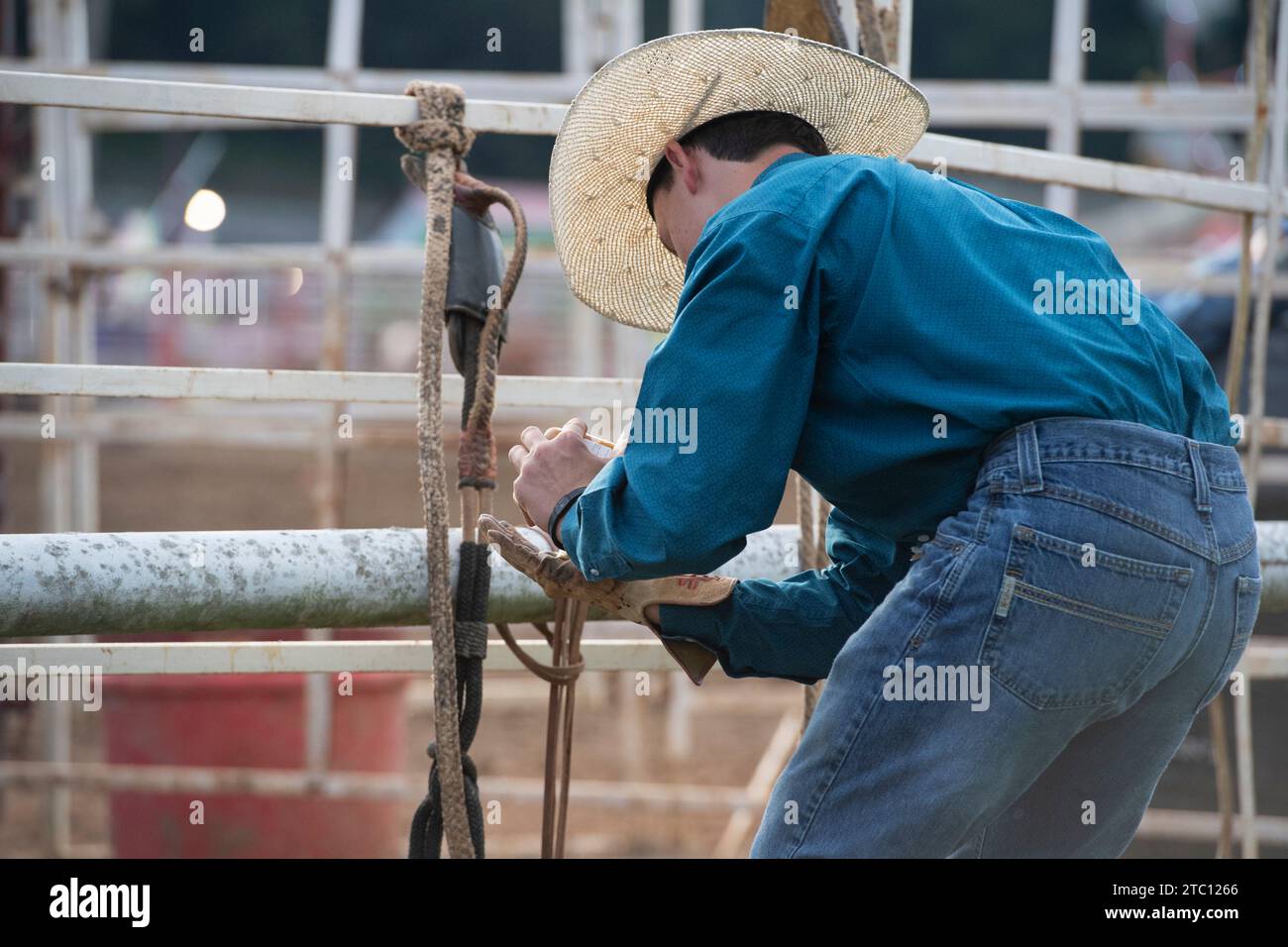 Un cowboy prepara le sue pelli per un giro in rodeo Foto Stock