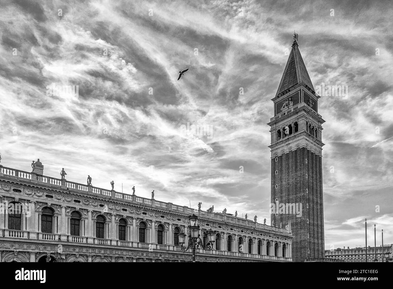 Un uccello vola su Piazza San Marco, il centro storico di Venezia, Italia, contro un bel cielo, in bianco e nero Foto Stock