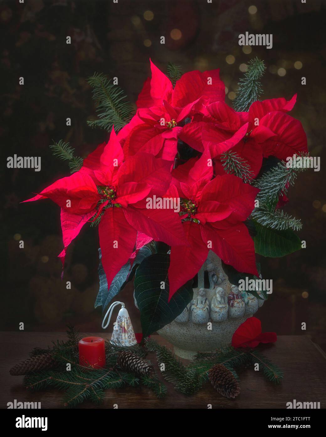 Natura morta di Natale con Blossom poinsettia Foto Stock