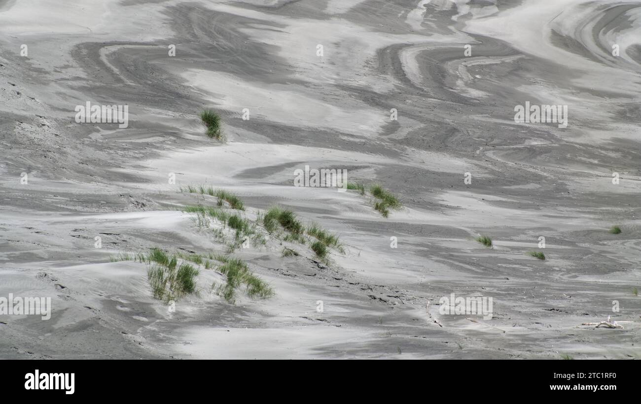 Il vento ha creato dei modelli nella sabbia con alcuni tussock costieri che spuntano. Foto Stock