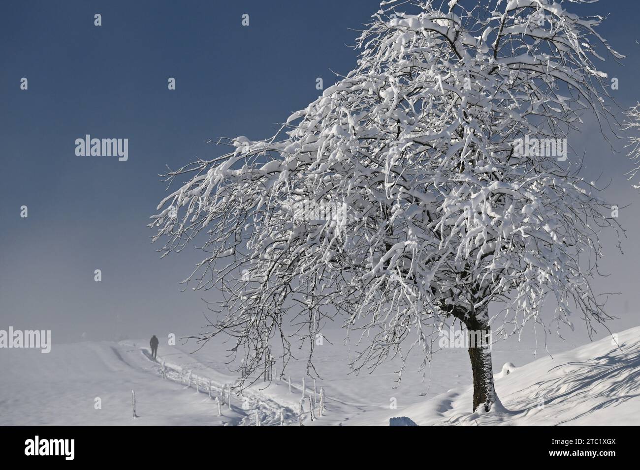 Un paesaggio invernale di neve bianca incontaminata ricoperta da uno strato di gelo Foto Stock