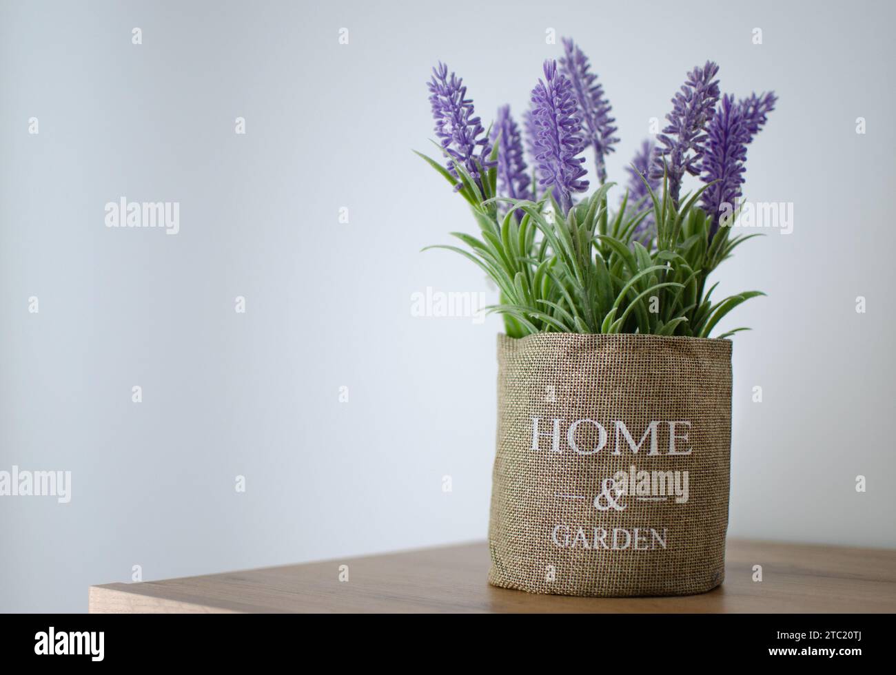 Fiori di lavanda decorativi artificiali in una pentola con copertura in burlap e scritte per la casa e il giardino, in piedi su uno scaffale, sfondo bianco parete primo piano i. Foto Stock