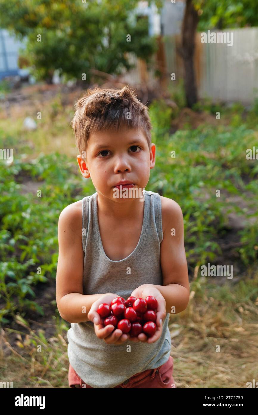 Il ragazzo tiene ciliegie rosse fresche nel palmo. Frutta fresca biologica. Raccolto estivo. Capelli Shaggy sulla testa Foto Stock