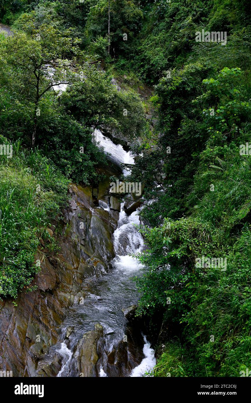 Una delle cascate più belle del distretto di Nuwa Eliya in Sri Lanka si trova vicino al ponte ferroviario Foto Stock