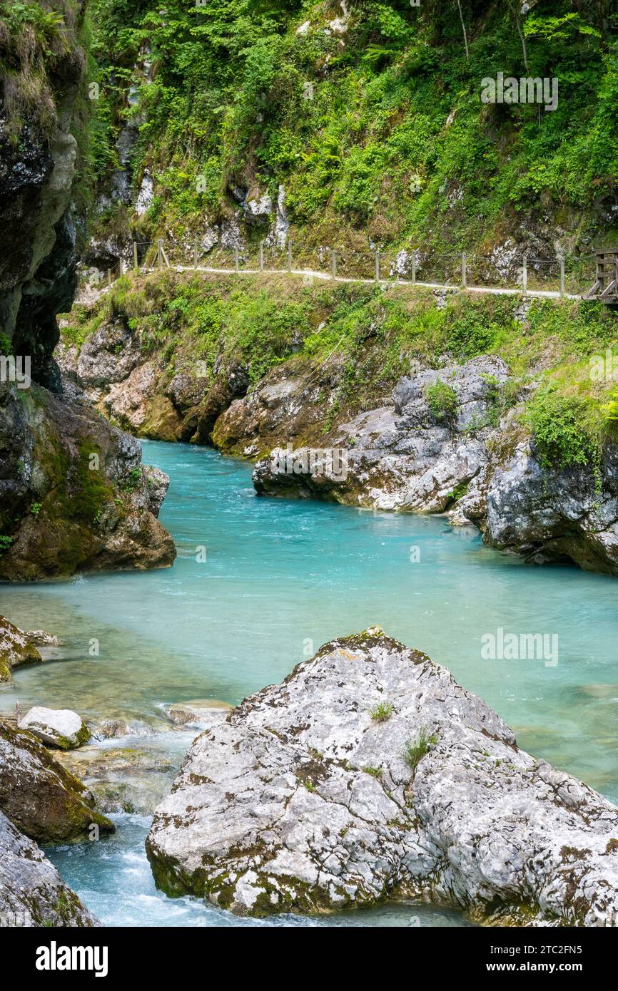 Paesaggio selvaggio del fiume Soca, uno dei fiumi più belli e limpidi d'Europa, che attraversa le Alpi slovene Foto Stock