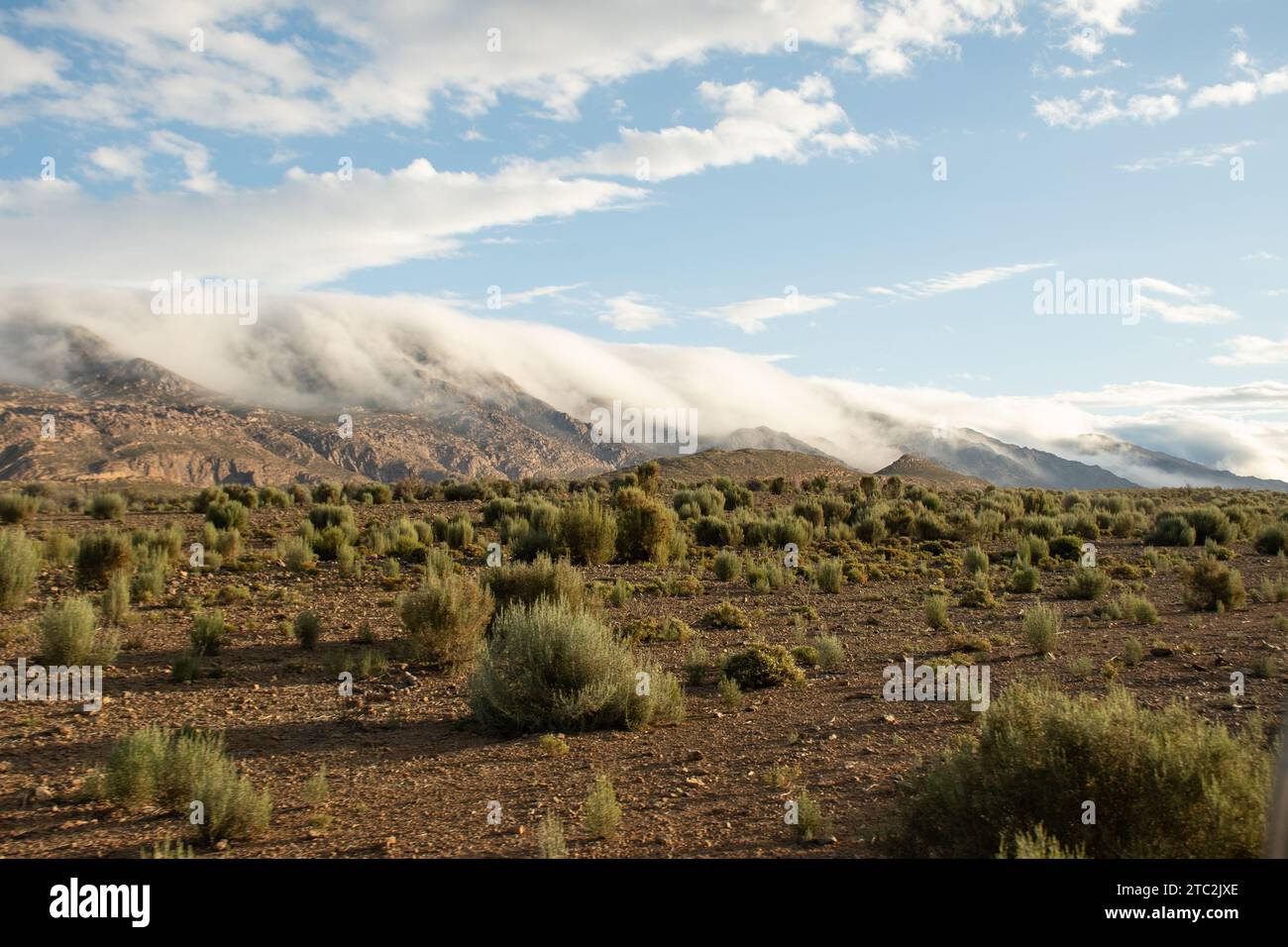 Nella fattoria Sandrivier ha chiamato Seweweeks Poort accomodation. Area di Karoo nel Capo Occidentale Sudafrica, aprile 2023 Foto Stock