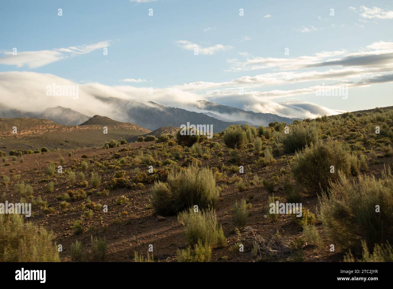 Nella fattoria Sandrivier ha chiamato Seweweeks Poort accomodation. Area di Karoo nel Capo Occidentale Sudafrica, aprile 2023 Foto Stock