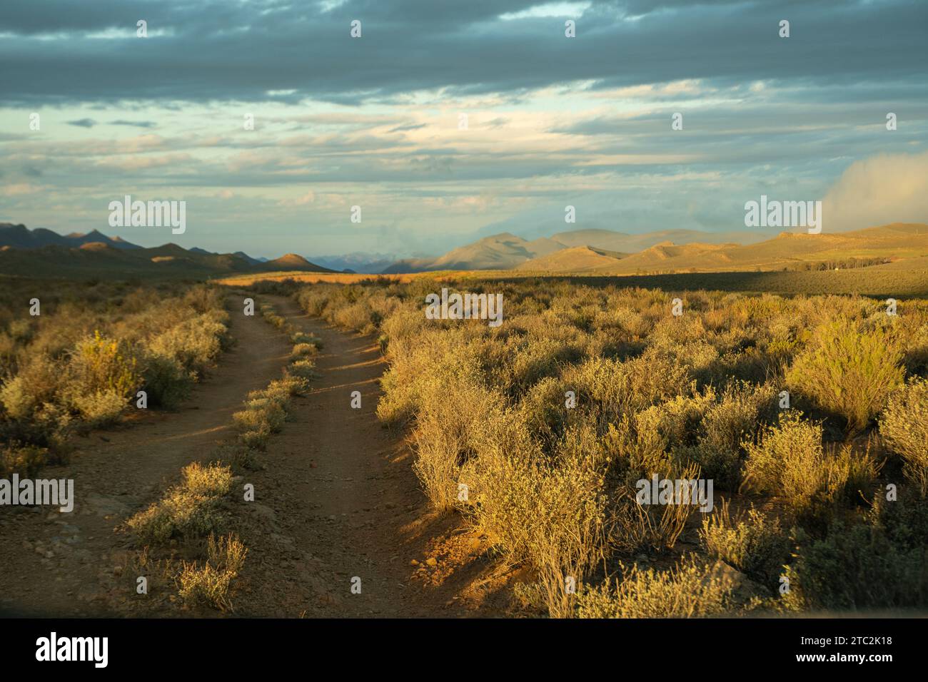 Strade sterrate nella fattoria Sandrivier chiamata Seweweeks Poort. Area di Karoo nel Capo Occidentale Sudafrica, aprile 2023 Foto Stock