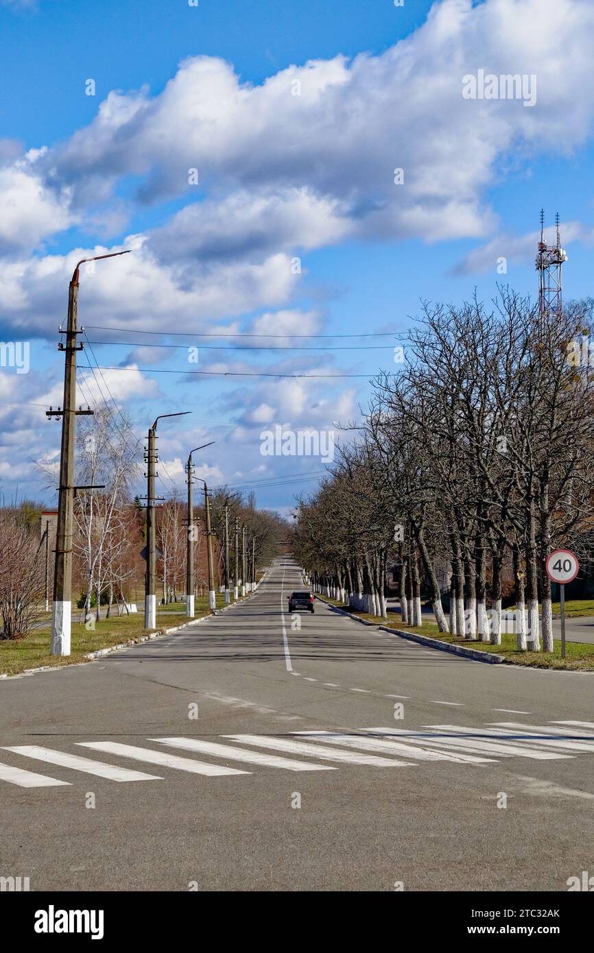 Una lunga strada dritta fiancheggiata da alberi senza foglie sotto un cielo blu. Foto Stock