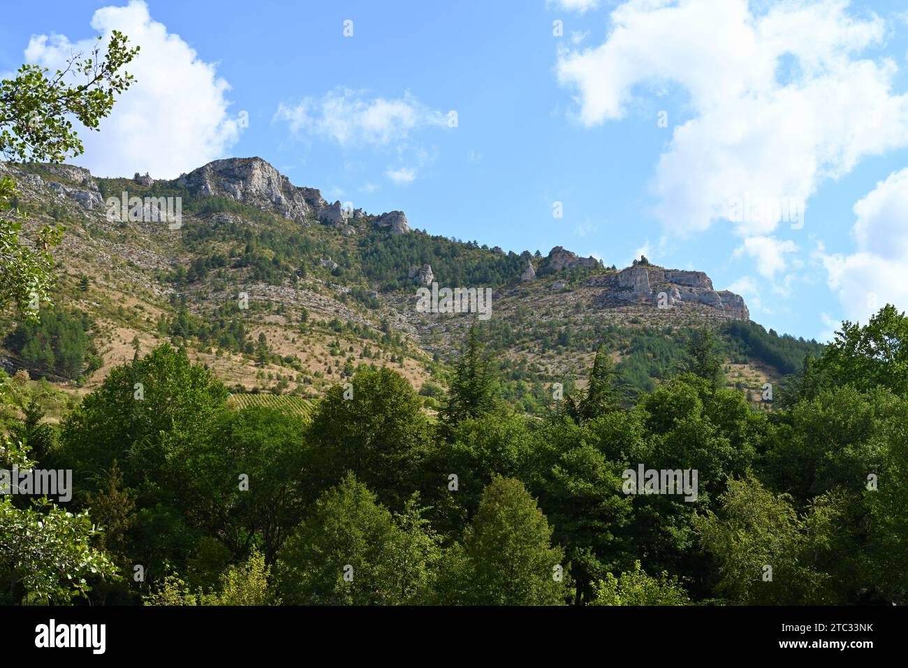 Splendida vista sul canyon nel sud della Francia Foto Stock