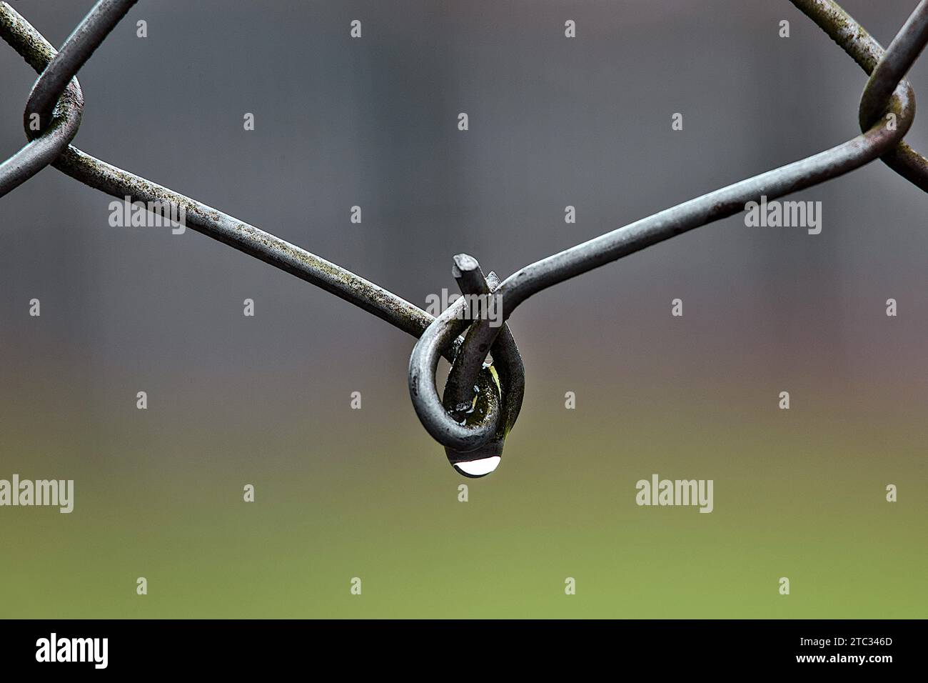 Una catena metallica è collegata a una recinzione metallica su sfondo verde Foto Stock