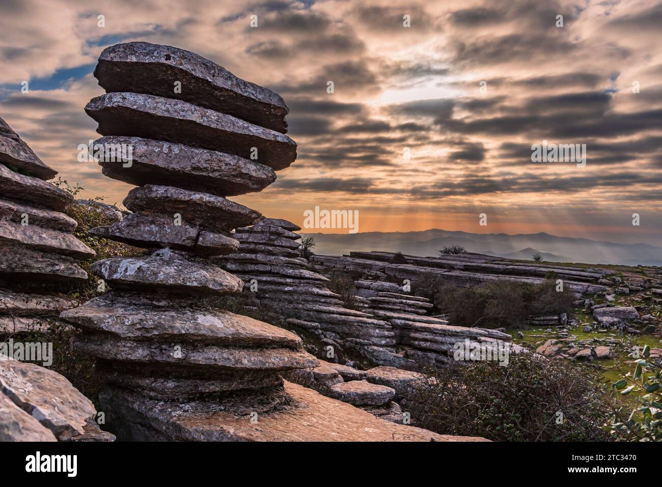 La vite, un monumento naturale di pietra calcarea situato nel parco naturale El Torcal de Antequera. Foto Stock